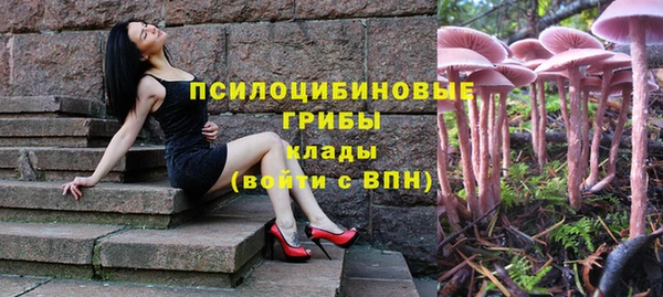 круглые Абаза